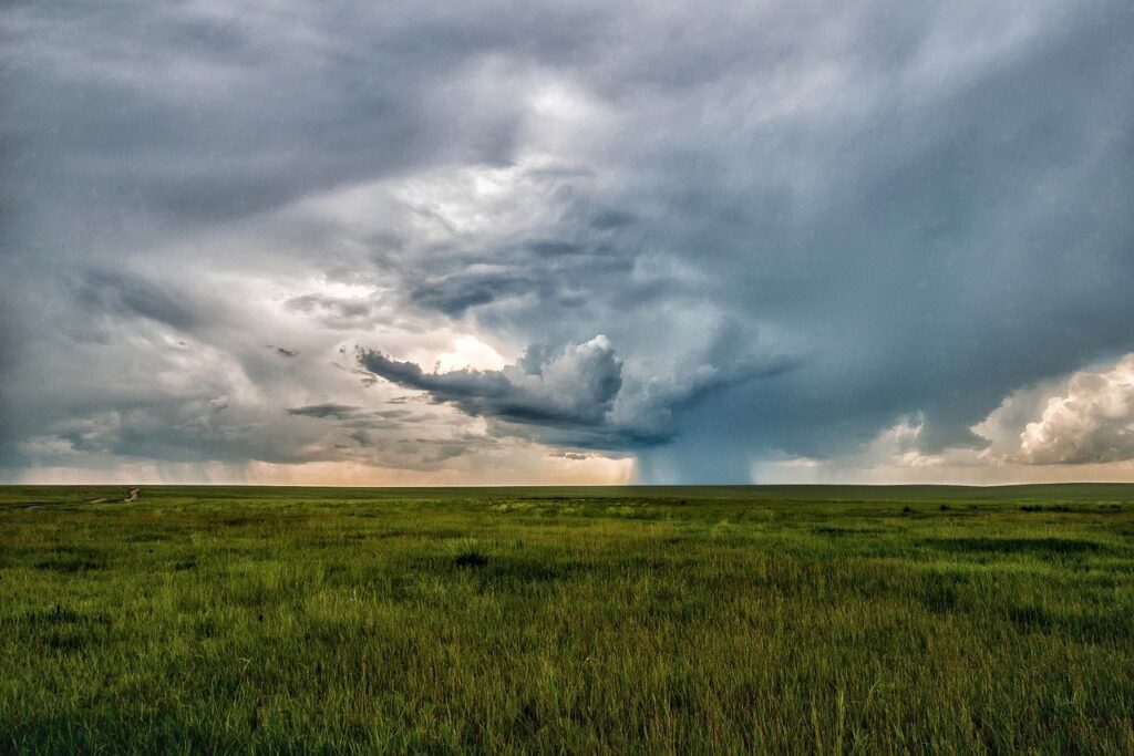 landscape, mongolia, horizon