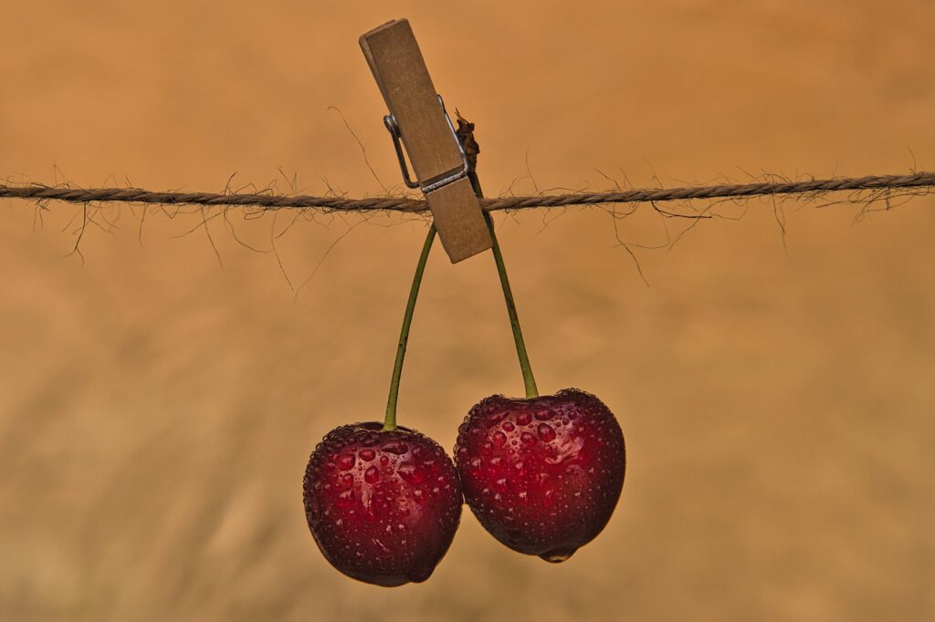 cherry, wet, washed