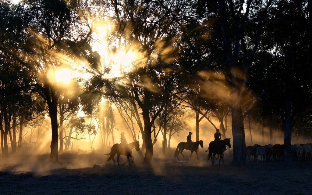 cowboys, riding, sunset