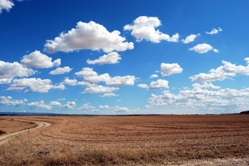 field, clouds, sky