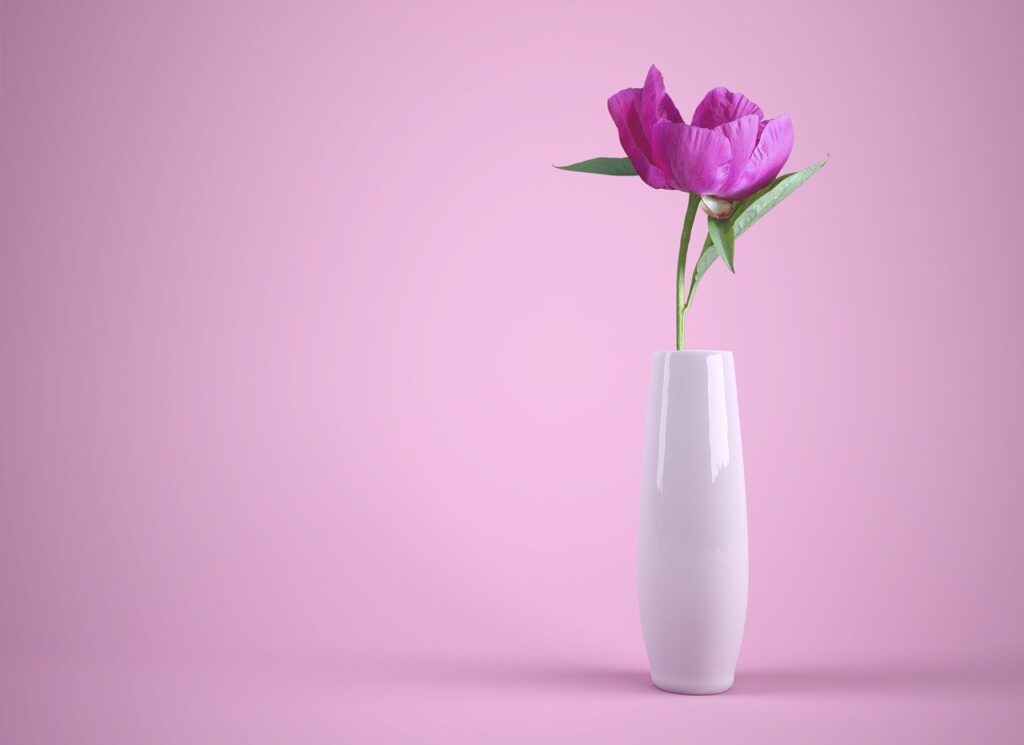 flower, vase, colorful