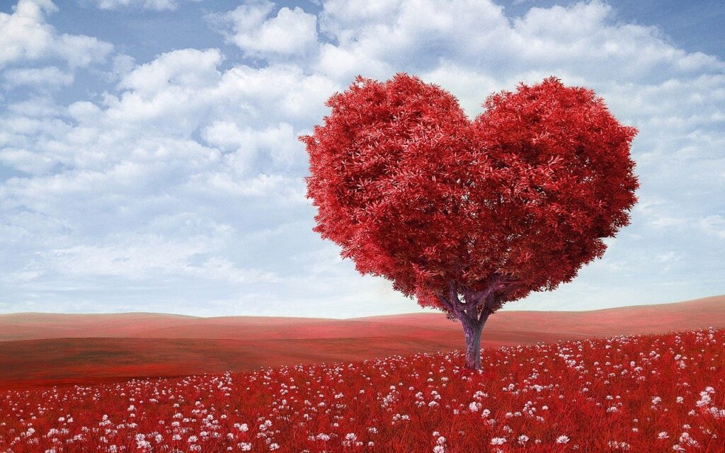 heart-shape, tree, red