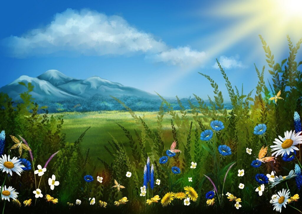 landscape, flowers, meadow