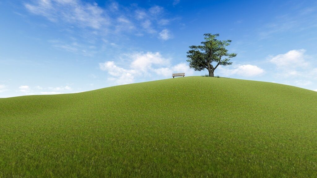 panoramic, grass, landscape