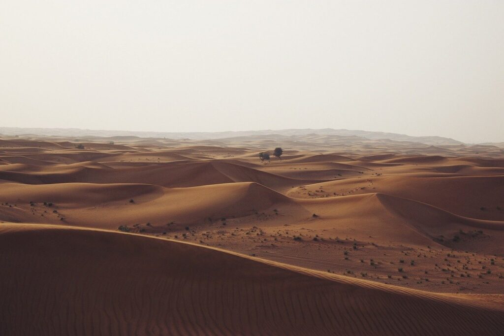 desert, sand dunes, sand