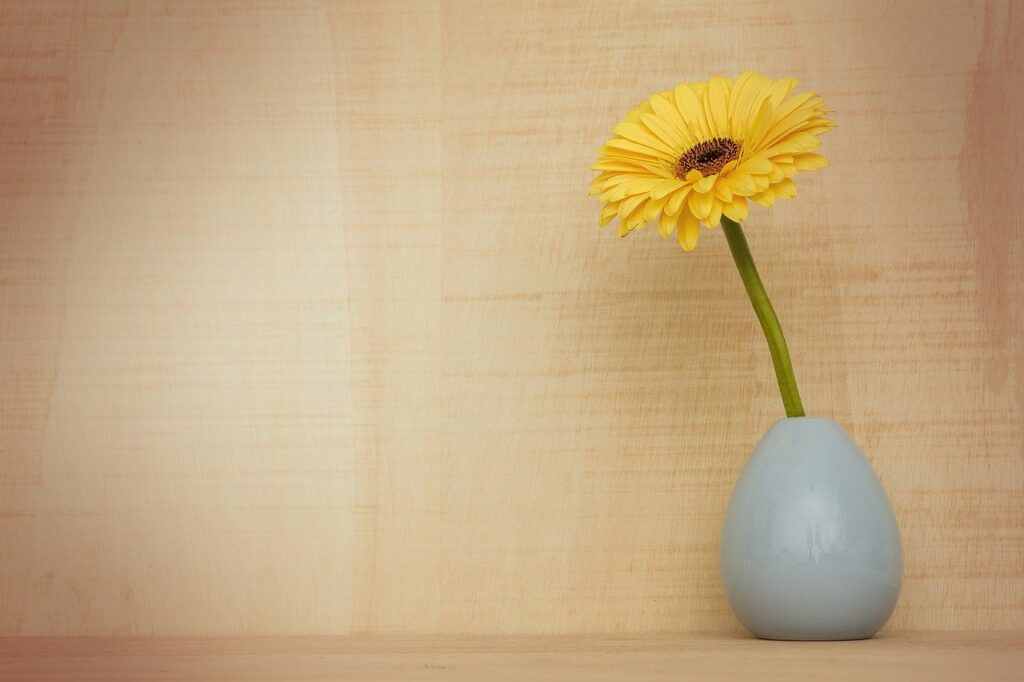 gerbera flower, decoration, flora