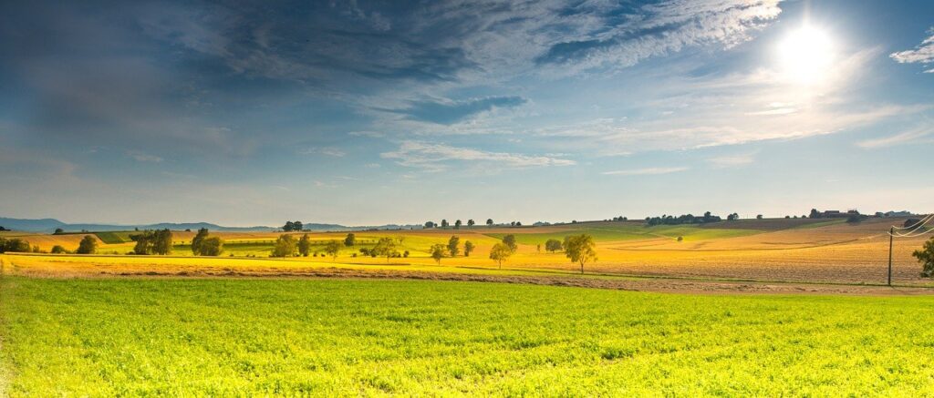 plains, fields, sky