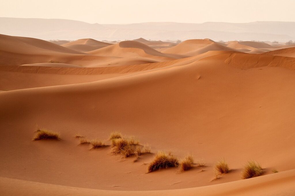 desert, sahara, dunes