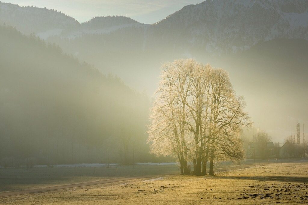 mountains, fog, fall