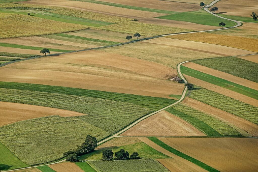 agriculture, field, arable land-3195381.jpg