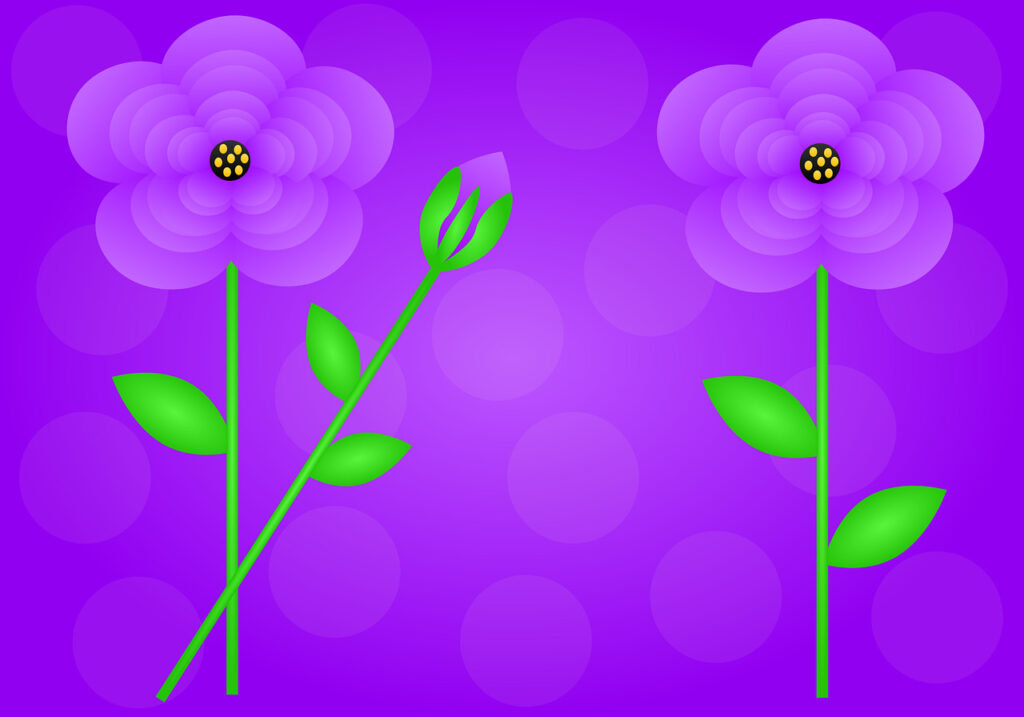 flowers, floral, violet flower-7259157.jpg