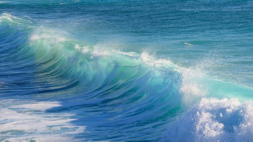 surf, water, wave-3104869.jpg