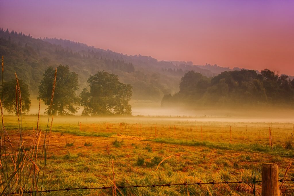 dawn, haze, ground fog-3588630.jpg
