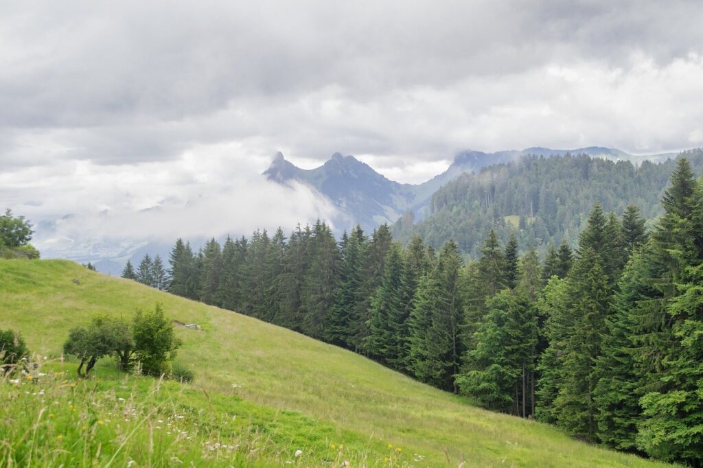 landscape, mountains, forest-8386075.jpg