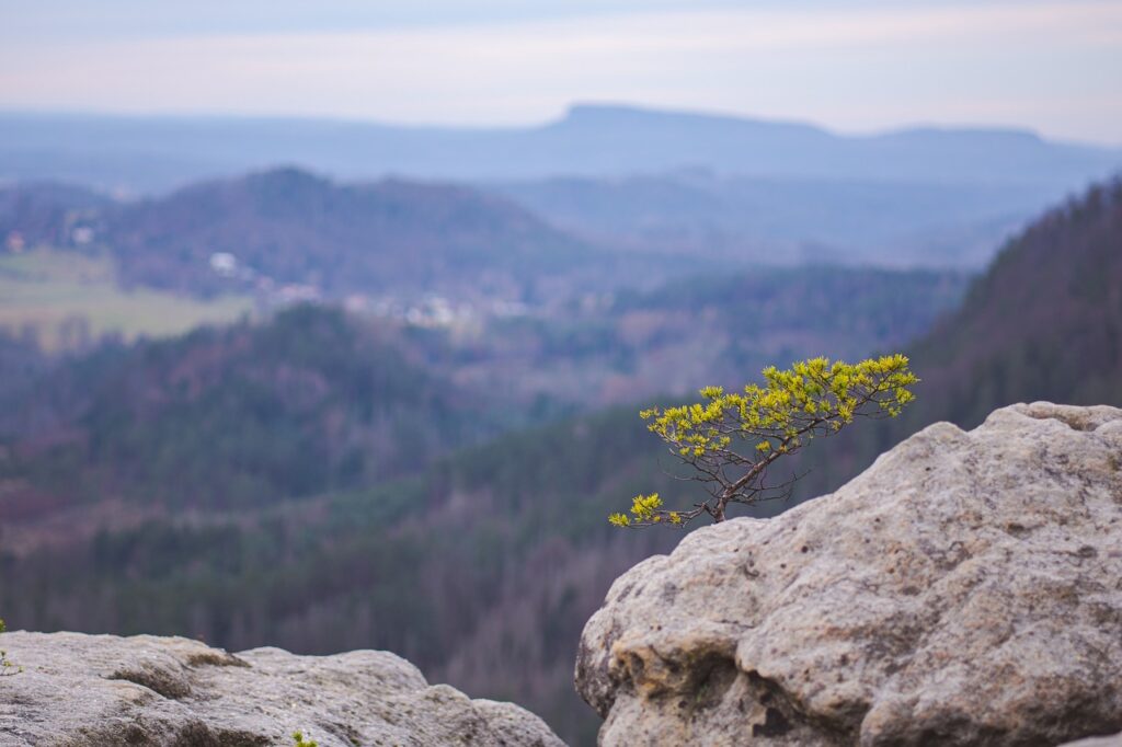 mountains, nature, rocks-8647727.jpg