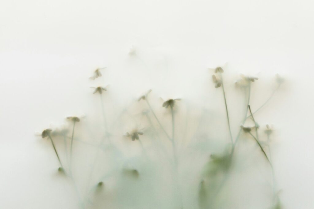 Delicate wildflowers submerged in milky water