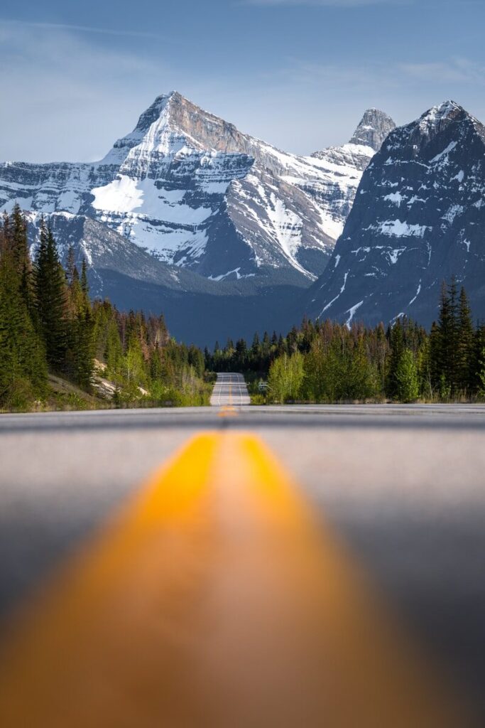 A long road leads to majestic snow-capped mountains and forests.