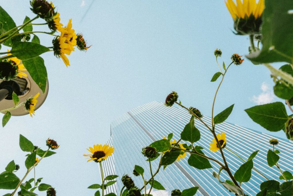 Yellow flowers framing skyscraper against blue sky