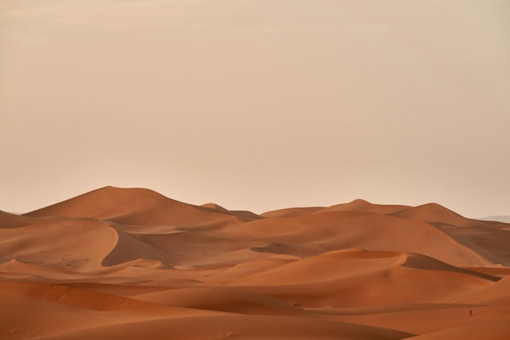 rolling sand dunes in desert landscape